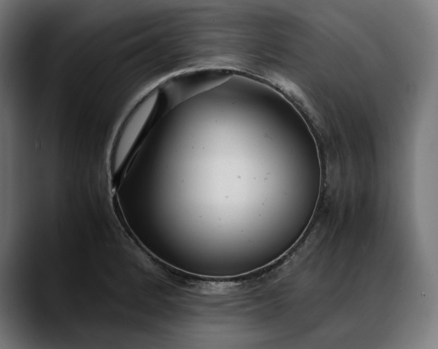 X0000088091184200705251422