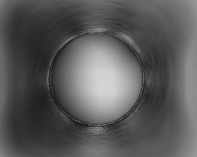 X0000088091186200705251422