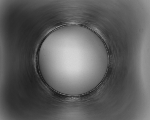 X0000088091187200705251422