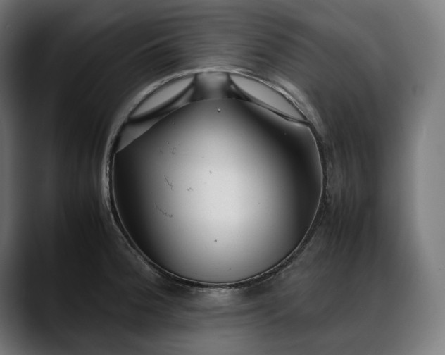 X0000088091188200705251422