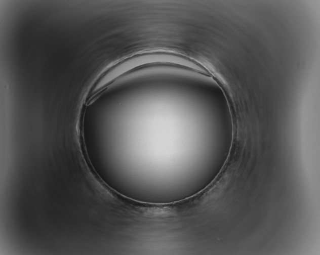 X0000088091189200705251422