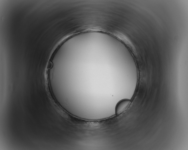 X0000088091190200705251422