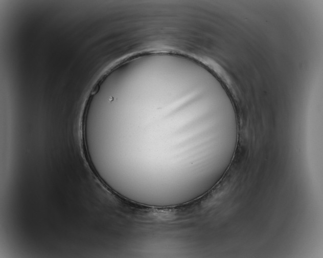 X0000088091191200705251422