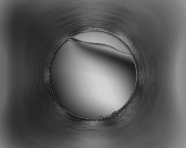 X0000088091193200705251422