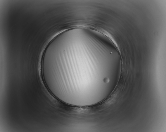 X0000088091195200705251422