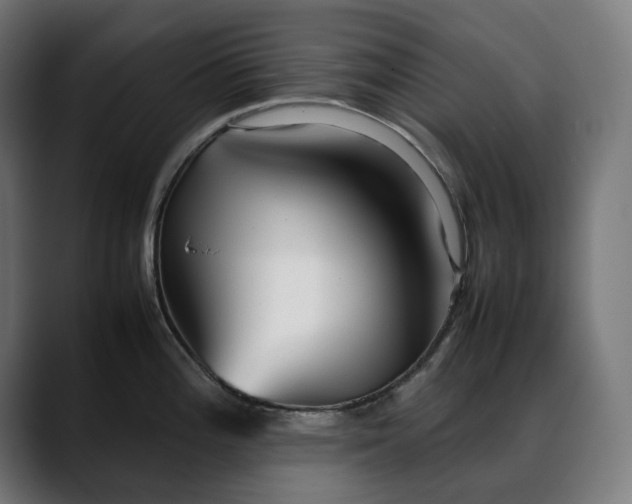 X0000088091196200705251422