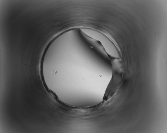 X0000088091197200705251422