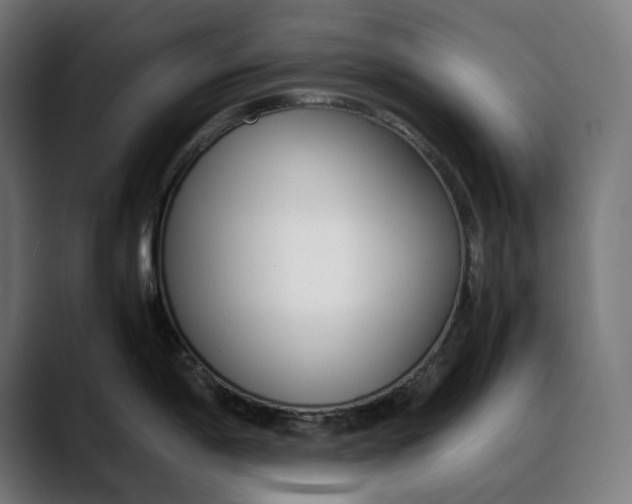 X0000088091198200705251422