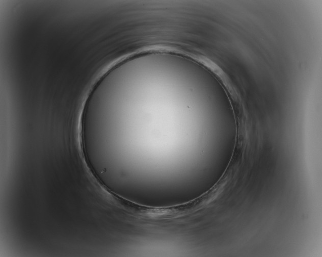 X0000088091199200705251422