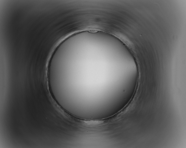 X0000088091200200705251422