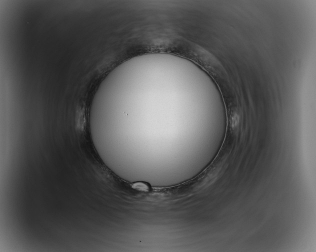 X0000088091204200705251422