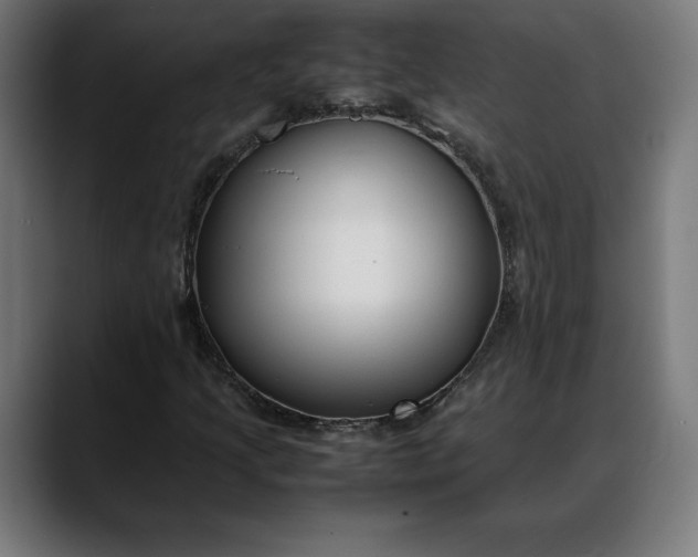 X0000088091205200705251422