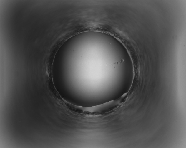 X0000088091206200705251422