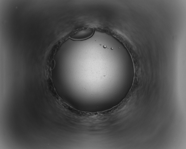 X0000088091207200705251422