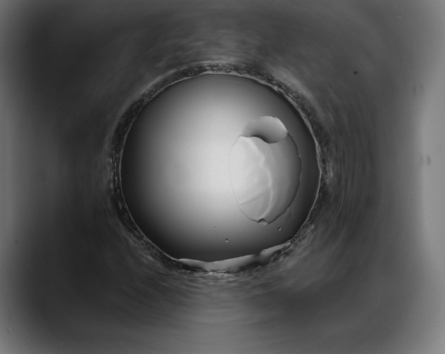 X0000088091208200705251422