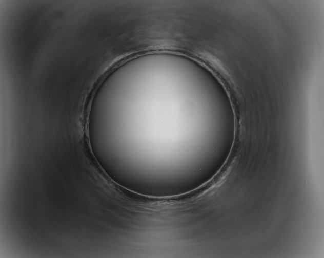 X0000088091212200705251422