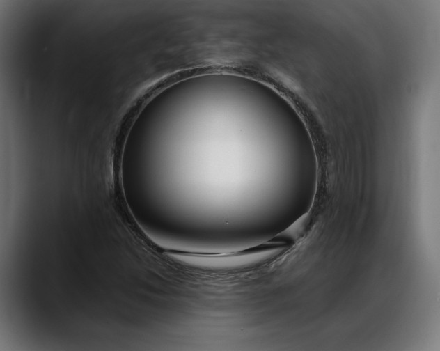 X0000088091214200705251422