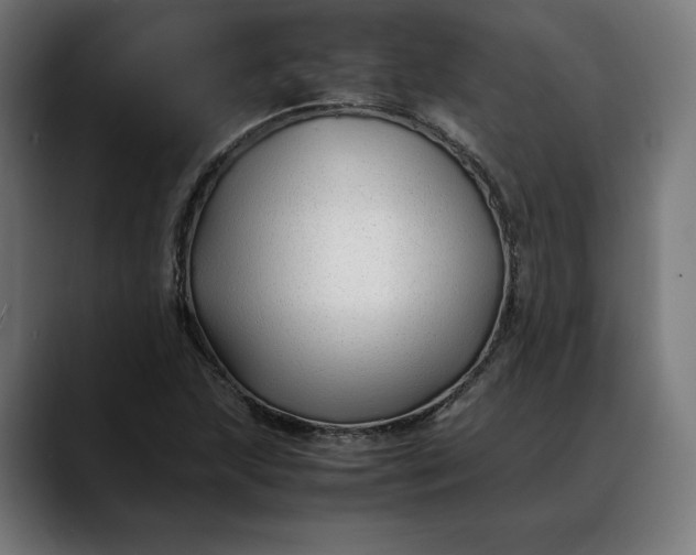 X0000088091215200705251422