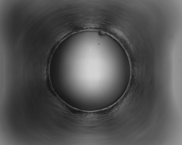 X0000088091217200705251422