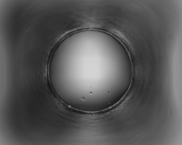 X0000088091220200705251422