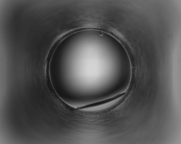 X0000088091222200705251422