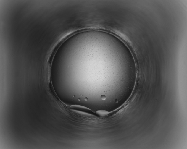 X0000088091223200705251422