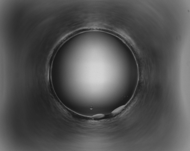 X0000088091224200705251422