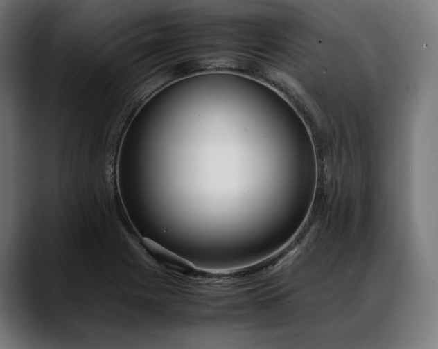 X0000088091225200705251422