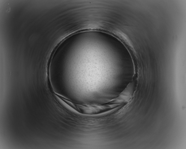 X0000088091226200705251422