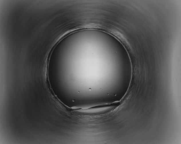 X0000088091228200705251422