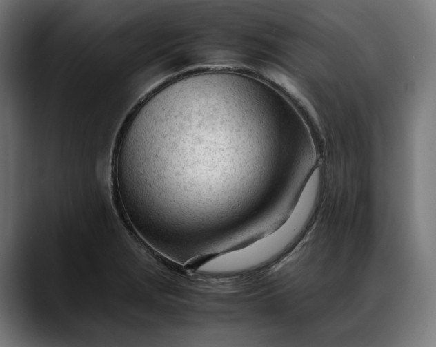 X0000088091229200705251422