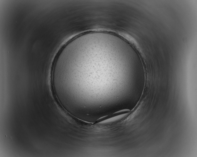 X0000088091231200705251422