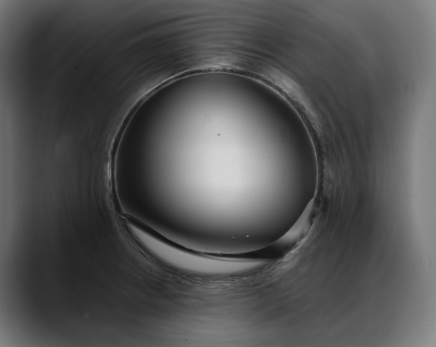 X0000088091234200705251422