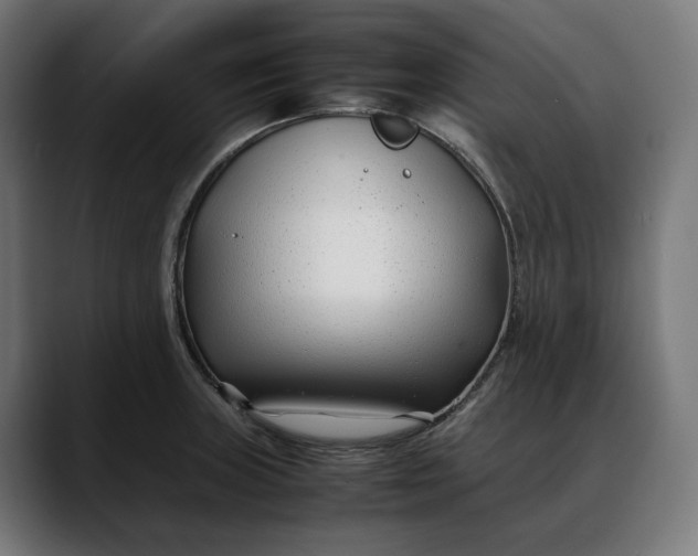 X0000088091235200705251422