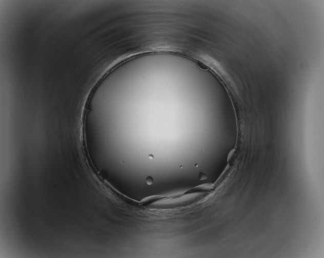 X0000088091236200705251422