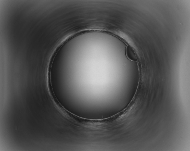 X0000088091237200705251422