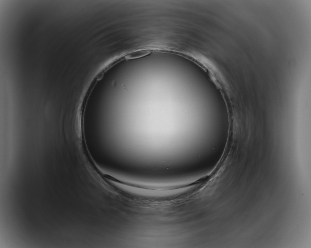 X0000088091238200705251422