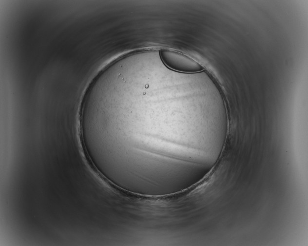 X0000088091239200705251422