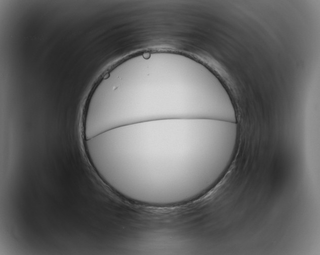 X0000088091240200705251422