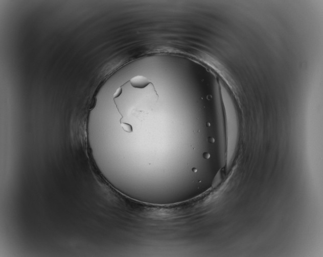 X0000088091241200705251422