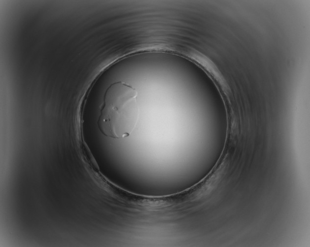 X0000088091242200705251422