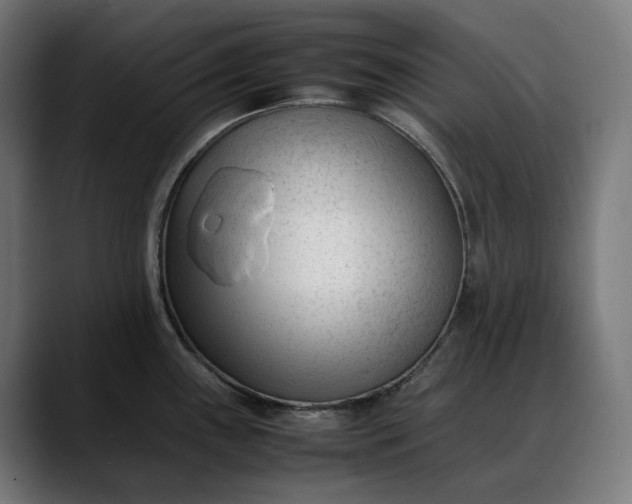 X0000088091243200705251422