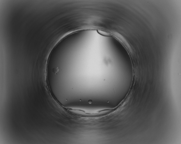 X0000088091244200705251422