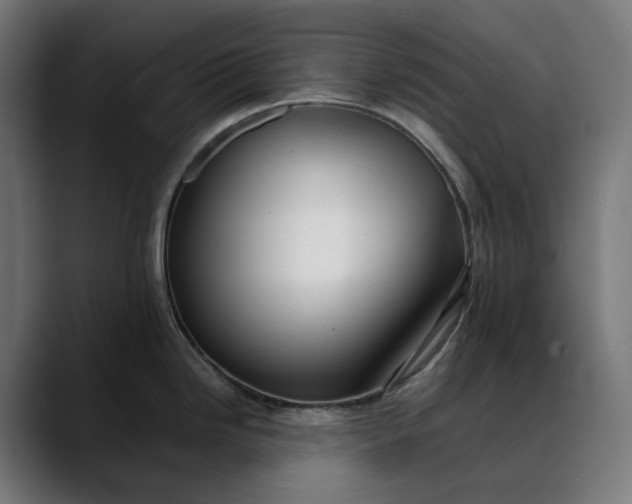 X0000088091246200705251422