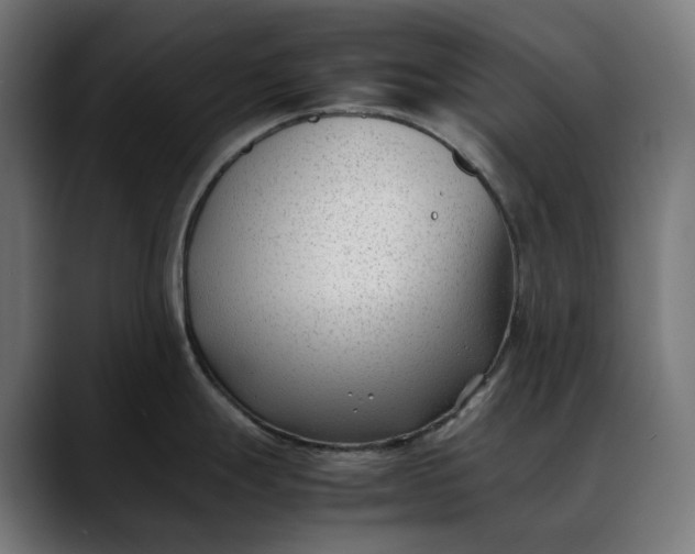 X0000088091247200705251422