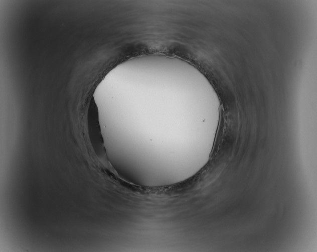 X0000088091249200705251421