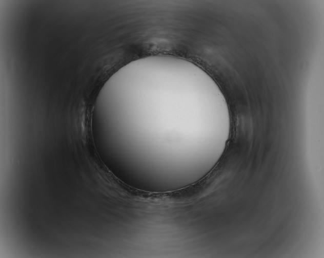 X0000088091250200705251421