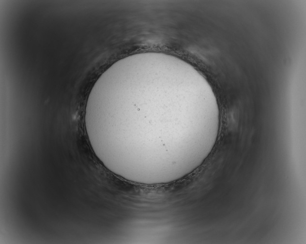 X0000088091254200705251421