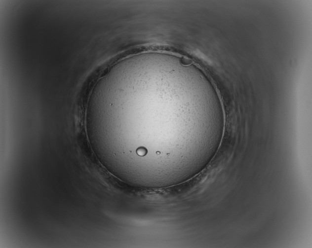 X0000088091255200705251421