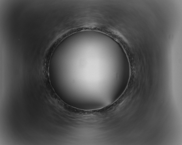 X0000088091256200705251421